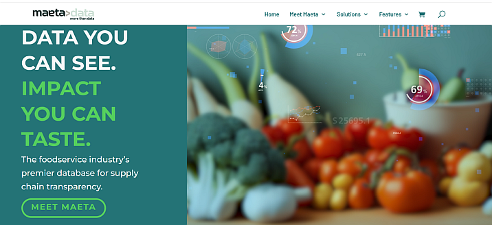 maetadata website screenshot